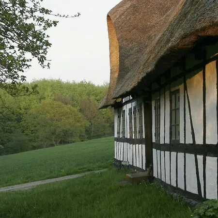 Timbered House In The Woods Near Holstenshuus * Fåborg