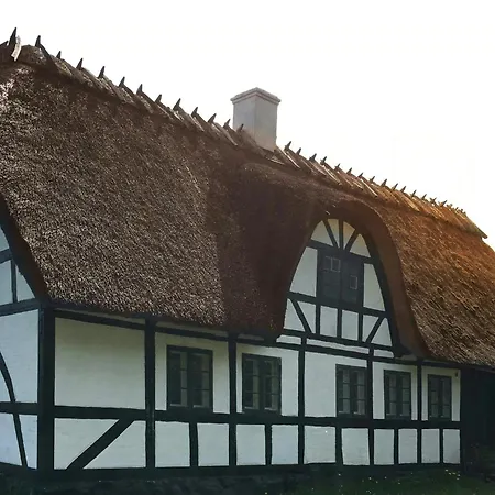 Timbered House In The Woods Near Holstenshuus *
